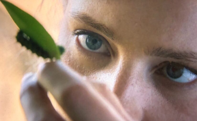 House of the Dragon Season 3: Helaena Comment Caterpillar Theory